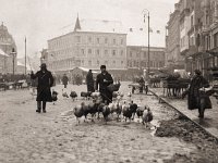 Trg bana Jelačića 1919. godine  http://hdl.loc.gov/loc.pnp/anrc.03696a